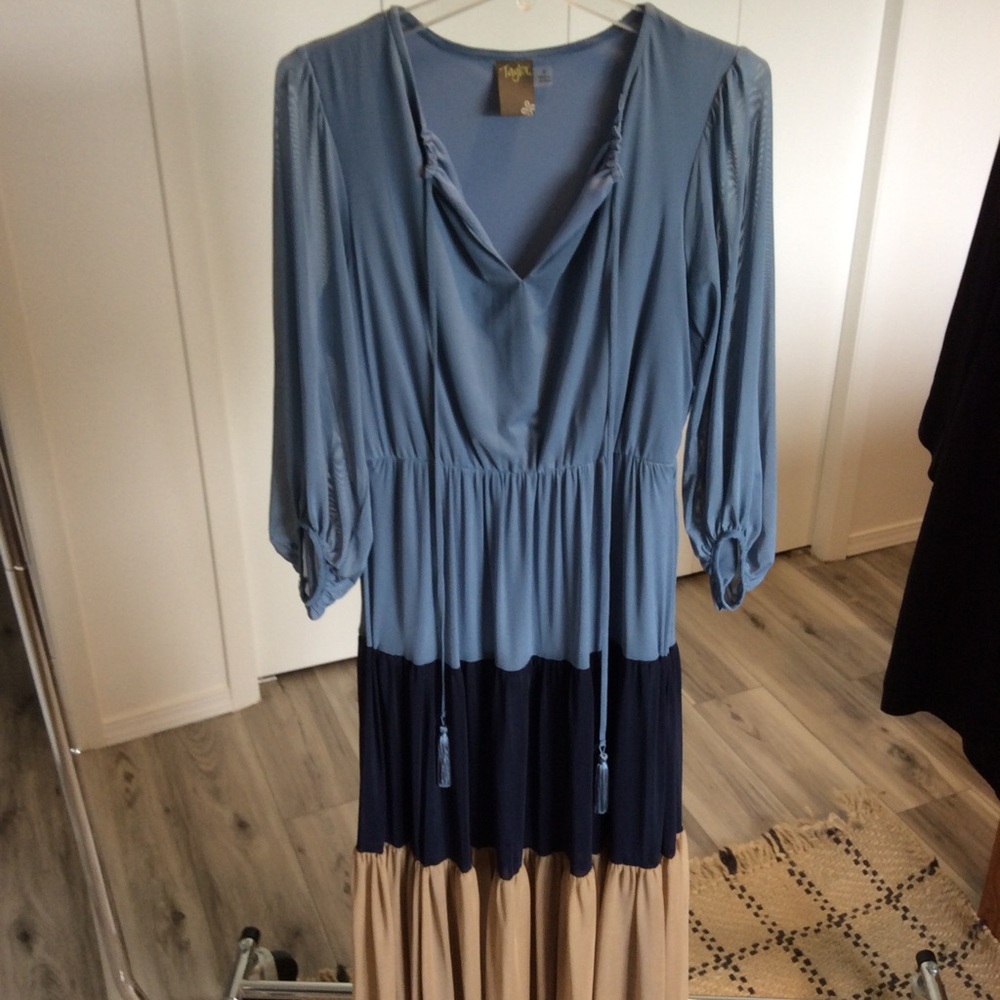 Taylor dress size 6